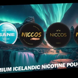 Nicotine Pouches
