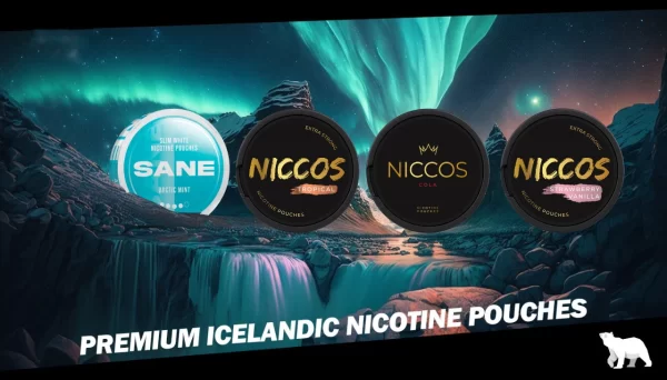 Nicotine Pouches